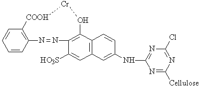 brown-10.gif, 1 kB